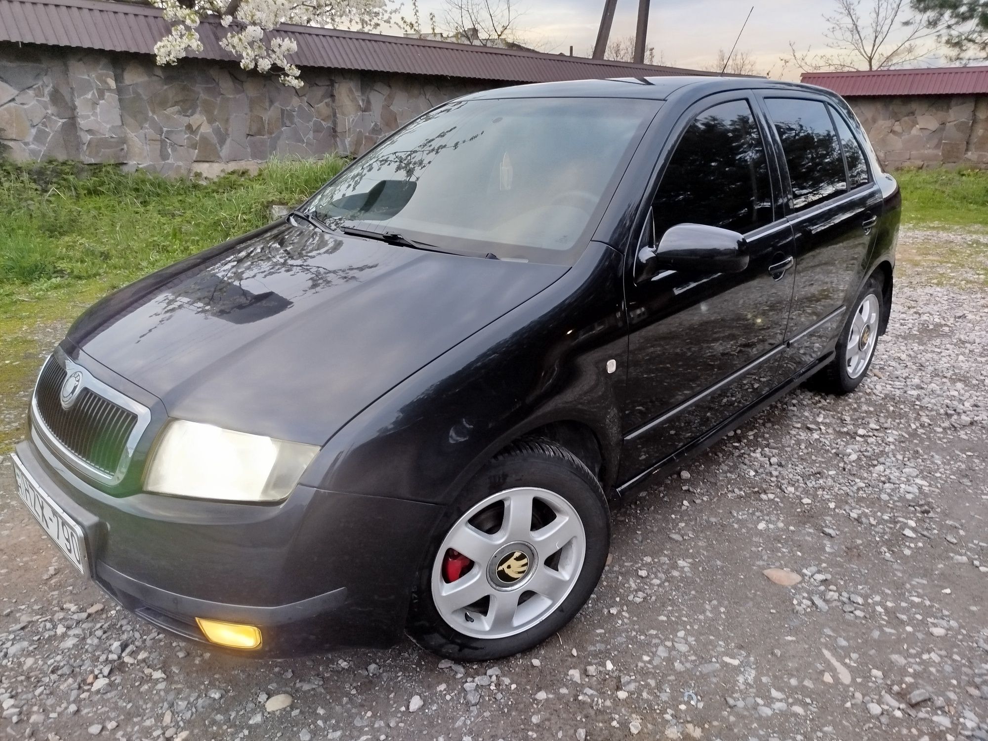 Skoda fabia 1.4 2003 рік