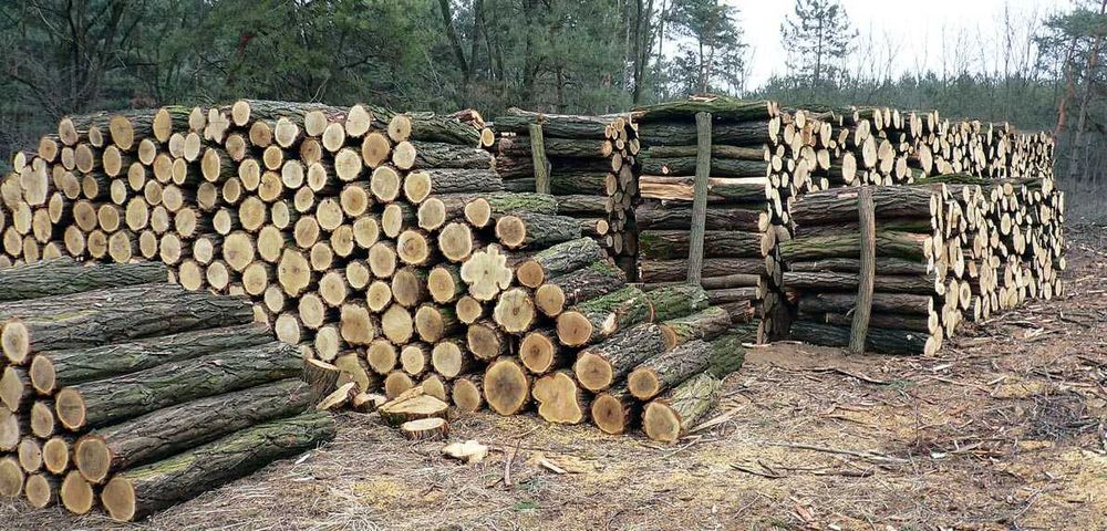 Продаем дрова,дуб колотые и кругляк,чурки метровки Вишневое