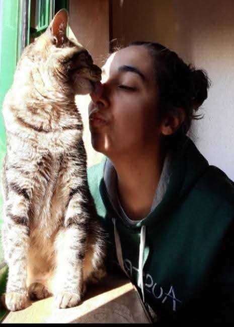 Petsitting Porto e arredores