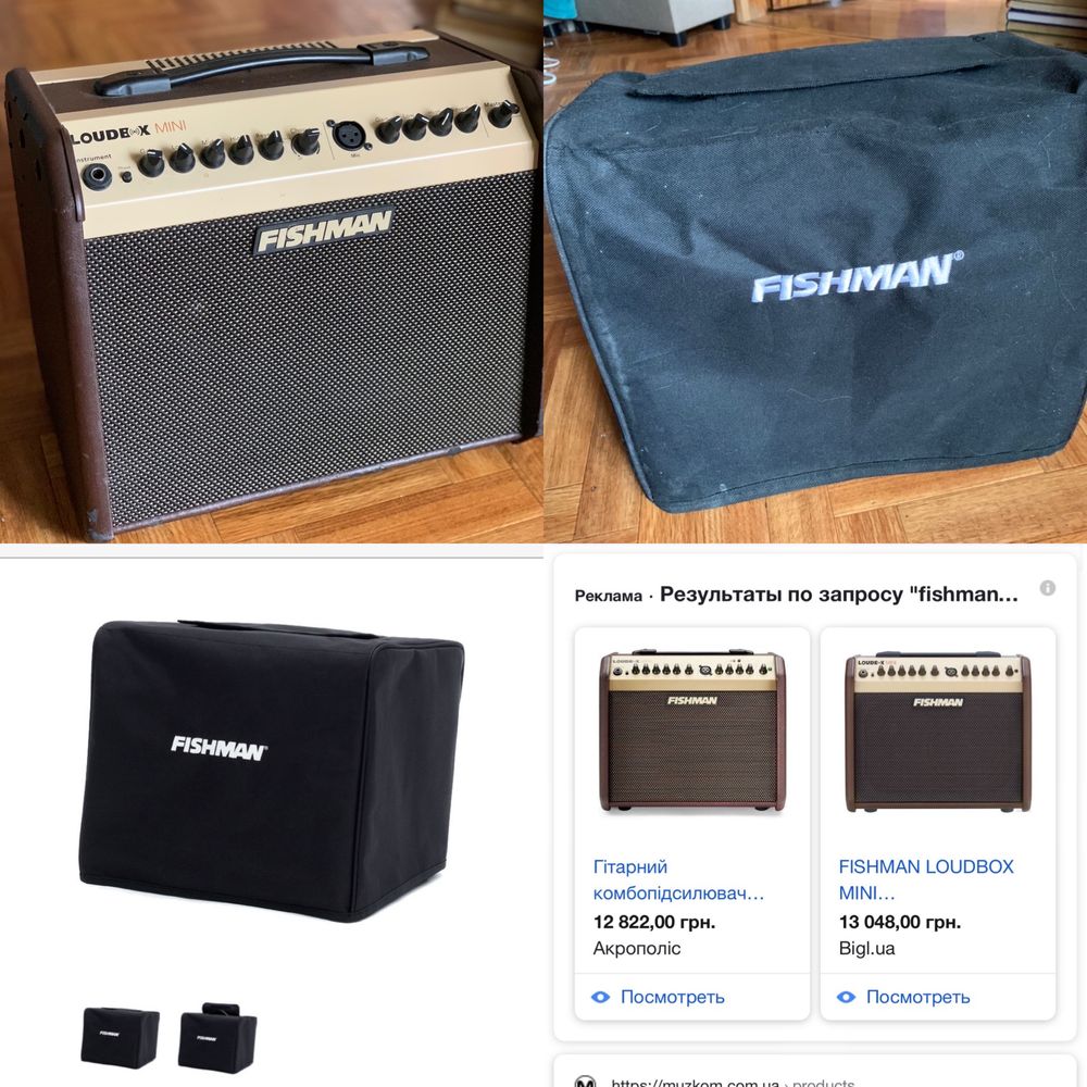 Комбоусилитель Fishman Loudbox Mini pro -lbx-ex5