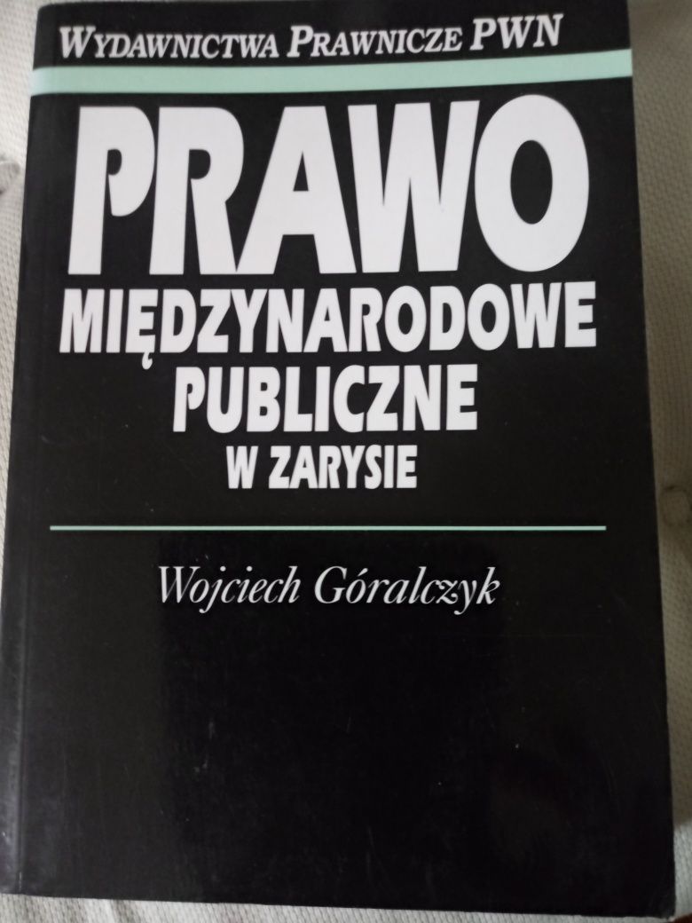 Prawo międzynarodowe publiczne w zarysie W. Góralczyk