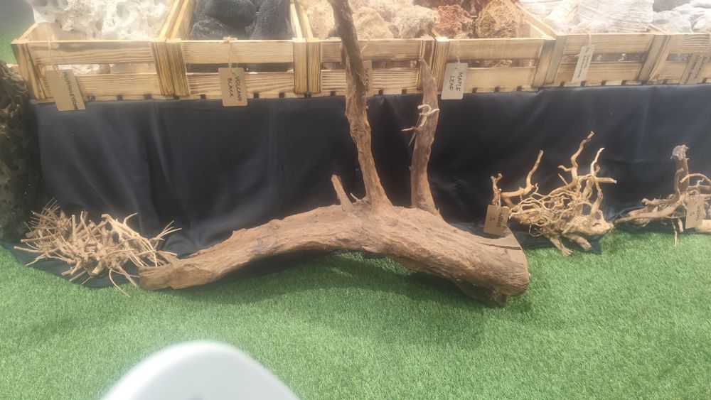 Korzeń mangrowy xl