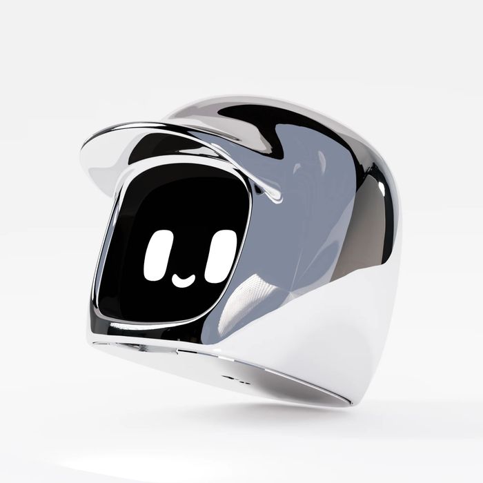 Dasai Mochi 3 driver’s buddy Сірий/Хром