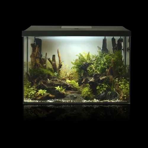 Akwarium Aquael 72l Day&Nigth- zestaw. Dostawa gratis w woj. pomorskim
