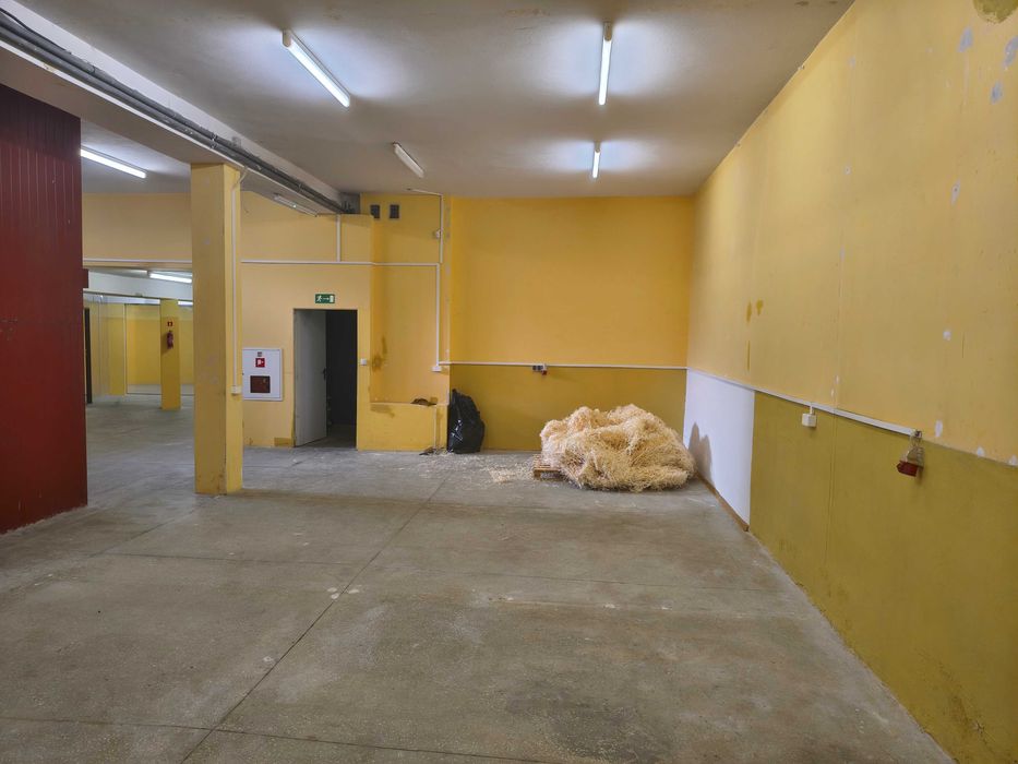 Pomieszczenie magazynowo produkcyjne 200m2