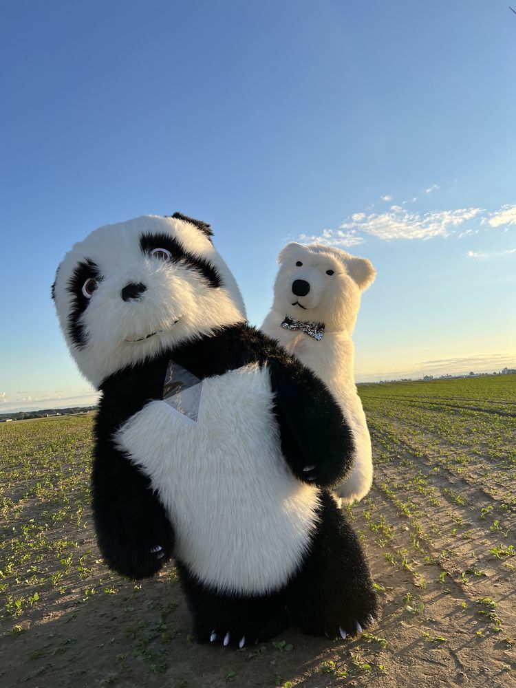 Kostium animatora Panda 2.6 m