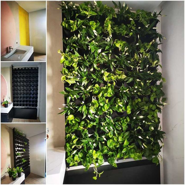 ZIELONA ŚCIANA ogród wertykalny DONICE żywe rośliny MECH CHROBOTEK