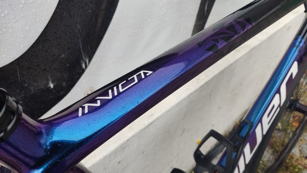 COLUER Invicta disc