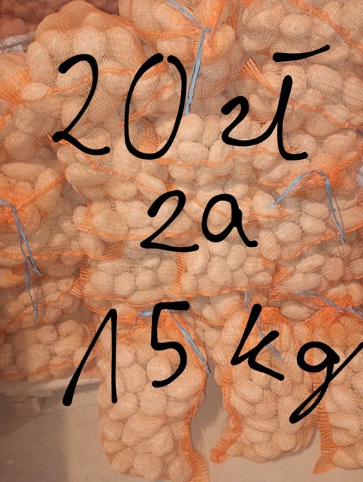 Ziemniaki vineta 15kg za 20 zł
