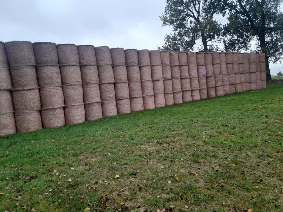 Sprzedam bele słomy