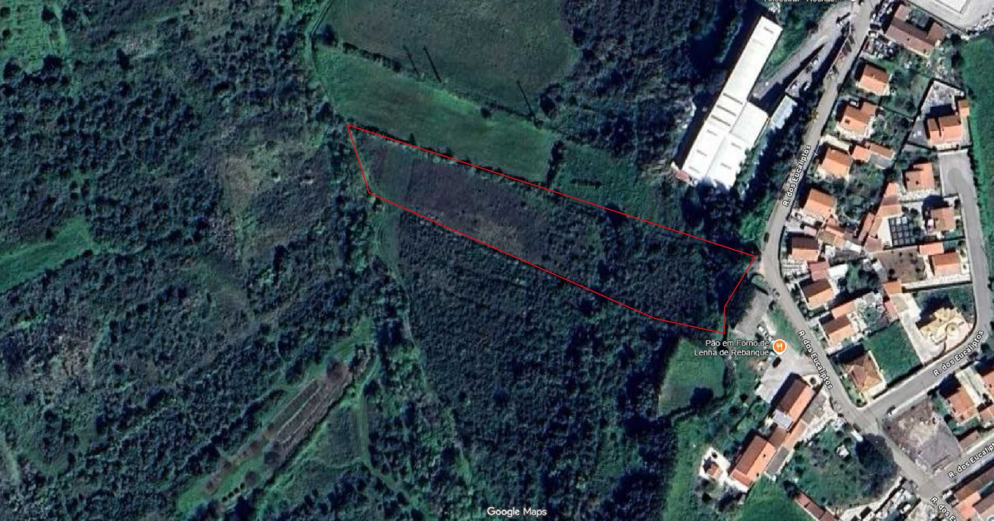 Terreno rústico 6.240 m² em Cheleiros (Mafra)