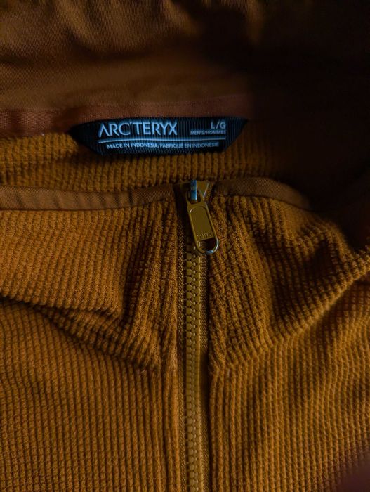 Оригінал фліс кофта Arc'teryx Delta LT