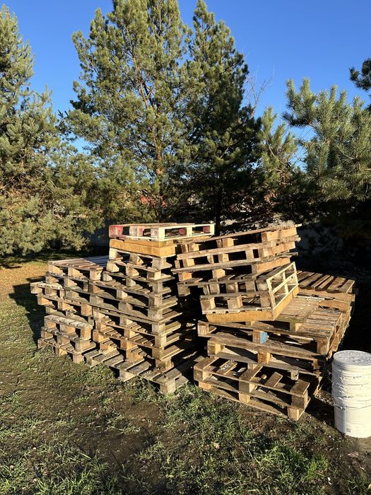 Продам палети (20 грн - одиниця) б/у