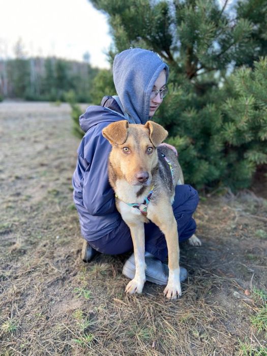 Pinki prosi o dom! Adoptuj, uratuj!