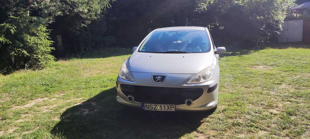 peugeot 307 b+g 2007 r