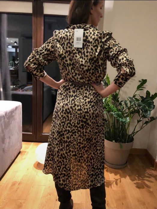 Zara sukienka lampart
