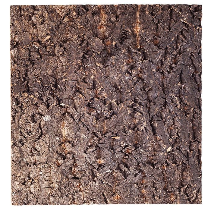 Repti-Zoo Big Tree Background - Tło Z Kory Do Terrarium 45X45Cm