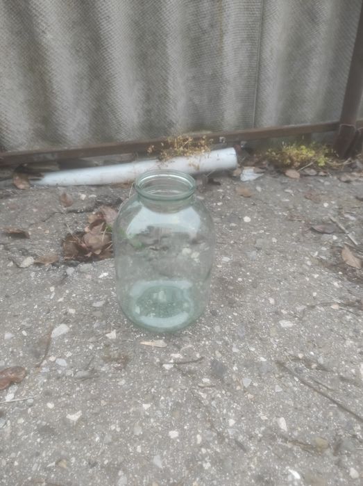 Банка 3 литра около 50 шт. В наличии