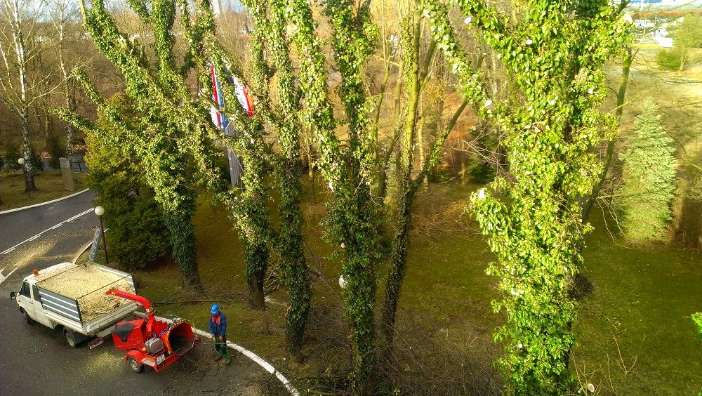 Usługi rębakiem/frezowanie pni/wycinka i pielęgnacja drzew