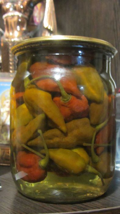 Маринованный сверх острый перец СКОТЧ БОННЕТ САРАГА