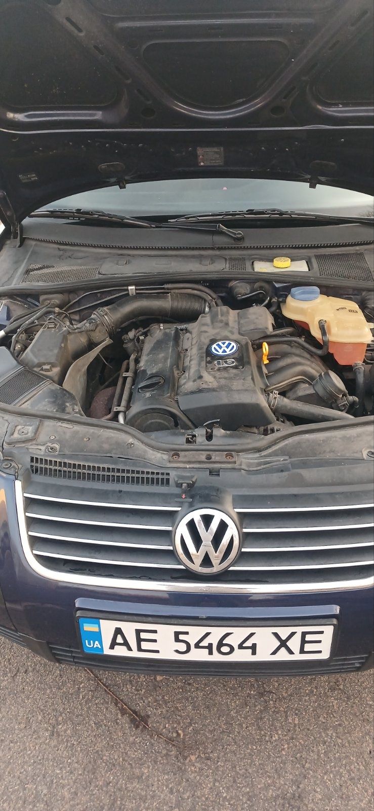 Авто Volkswagen B5+
