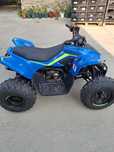Moto 4 CFmoto Cforce 110