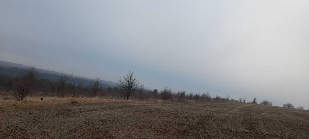 оренда промислової землі 18,2176 га с.Залісся, Тернопільська обл.
