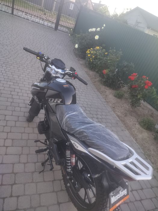 Mustang Region MT250-9R