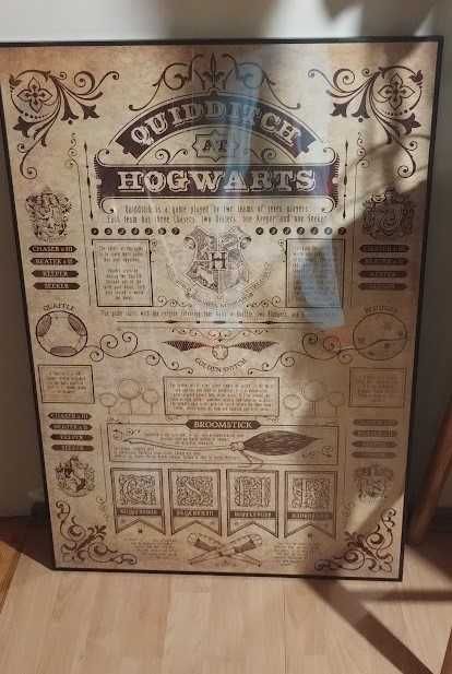 Plakat Harry Potter Quidditch w ramce