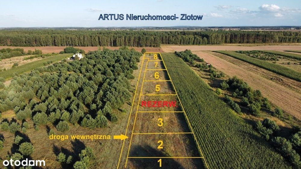 Działki budowlane (8 szt.), wśród pól i lasów- Dol