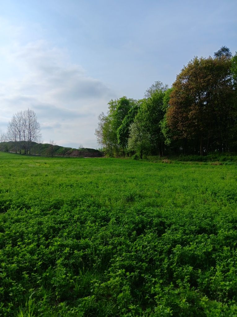 Sprzedam działki
