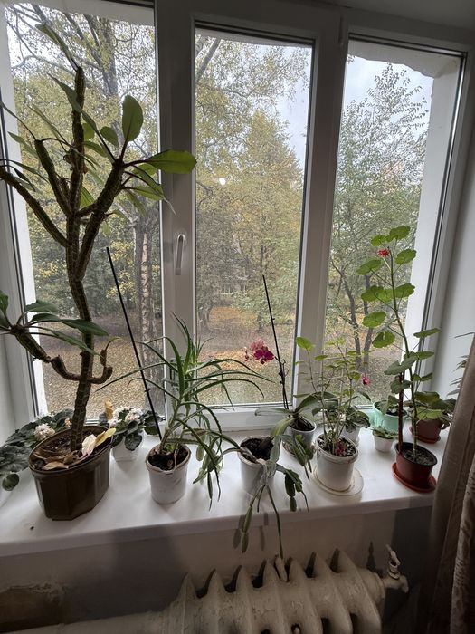 Продаж 2-х кімнат в комунальній квартирі,площею -30,1 м2.