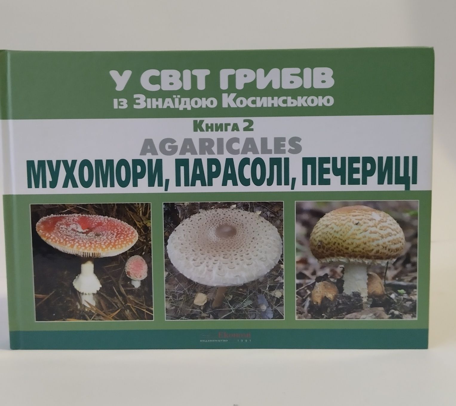 Мухомор У світі грибів.
