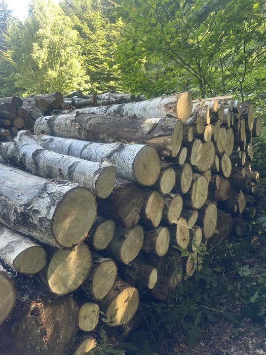 Drzewo opałowe do kominka i pieca