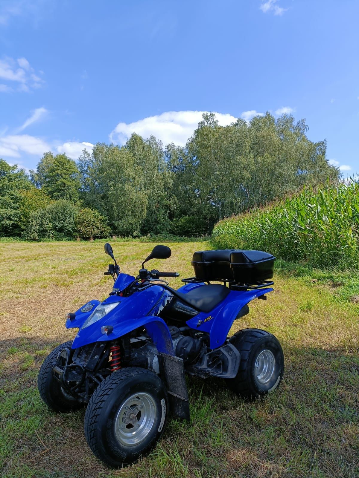 Quad KYMCO KXR 250