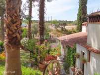 Quinta com 6.396 m2 junto à Ribeira de Sor
