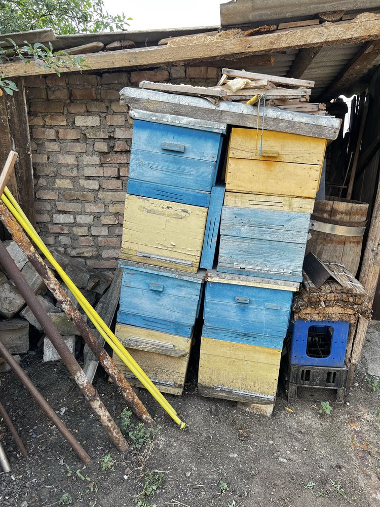 Продаю вживані вулики