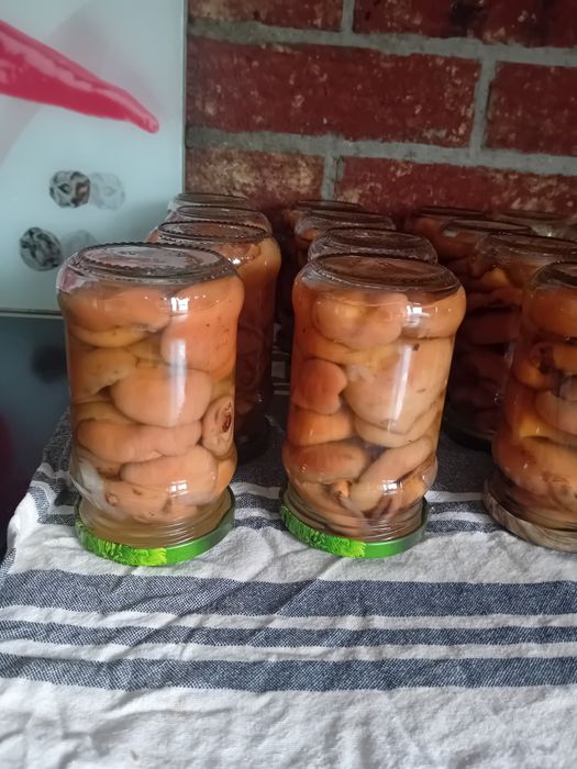 Grzyby marynowane prawdziwki i rydze z atestem