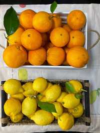 Laranjas e Limões 100% biológicos (0,75€kg)