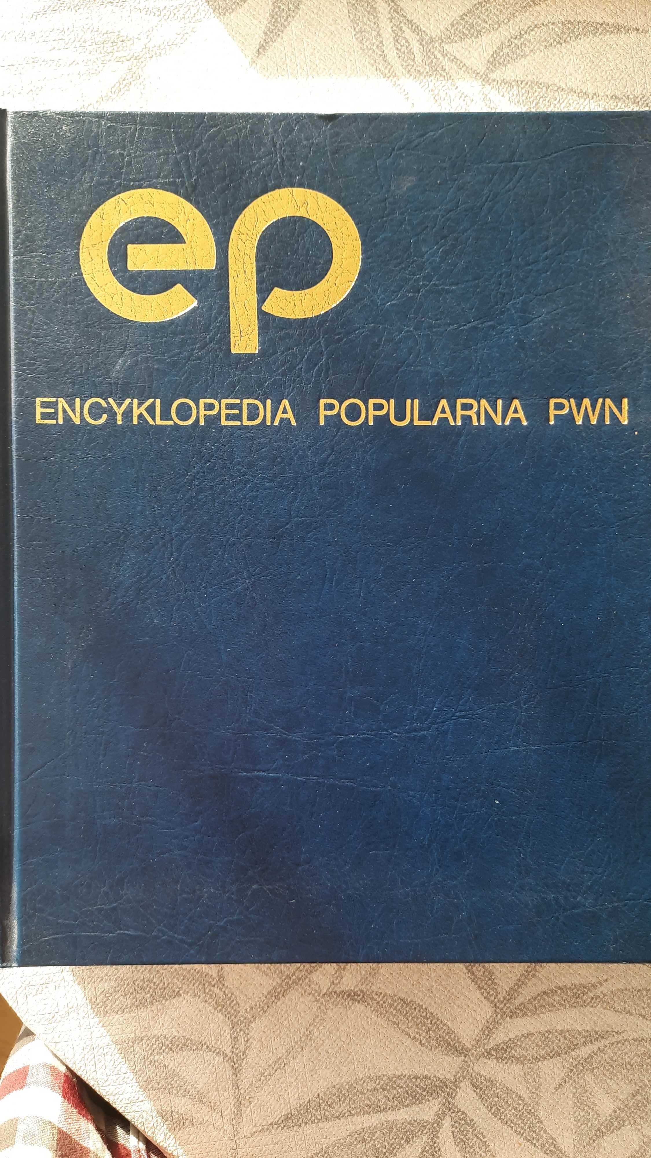 Encyklopedia Popularna PWN 1993