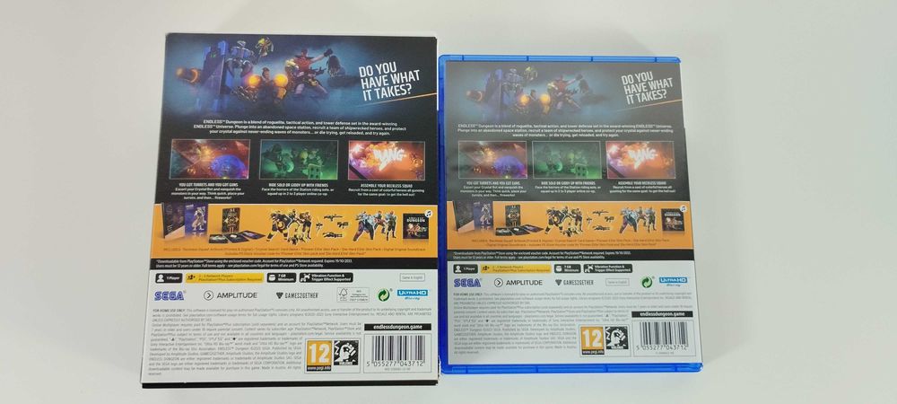 Endless Dungeon Day One Edition Playstation 5 PS5