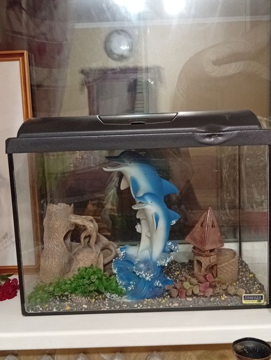 Продам аквариум с инвентарем