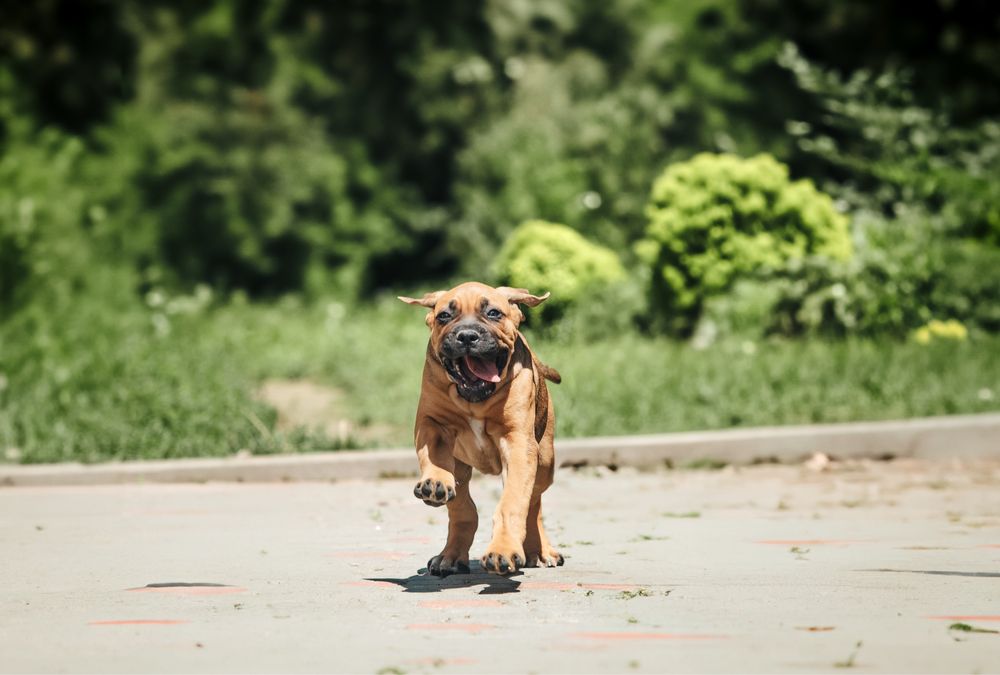 Чудова дівчинка готова подарувати вам радість