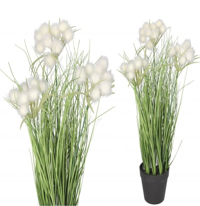 Trawa w doniczce 45 cm