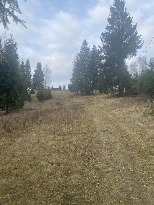 Ділянка з шикарним краєвидом. Яблуниця.