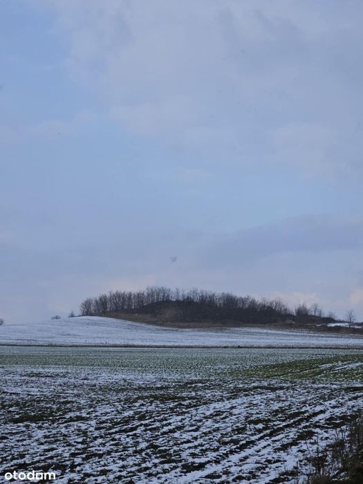 Działka inwestycyjna. Kopalnia piasku, pospółki w pobliżu Wrocławia
