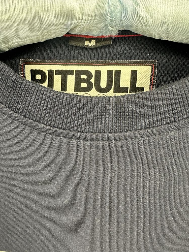 Męska bluza Pitbull