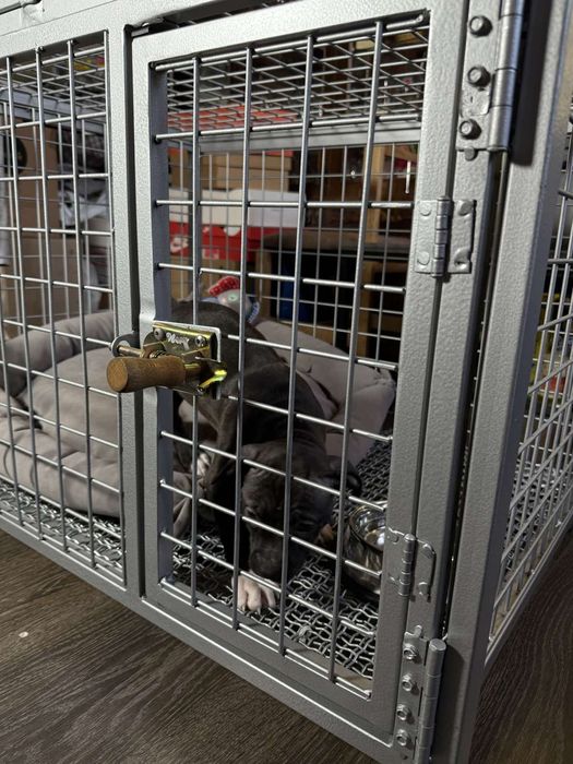 Продам переносний вольер для собак