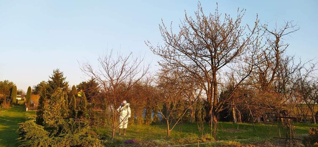 Odkomarzanie Odkleszczanie Zwalczanie komary kleszcze i inne insekty