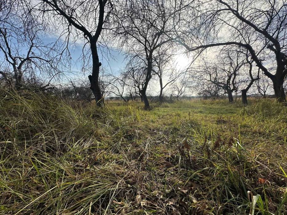 Продаж ділянки 10 соток під забудову. Біля лісу.Зручний під'їзд.ID:728